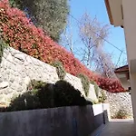 Ivy2